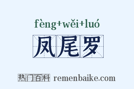 凤尾罗是什么意思的图片